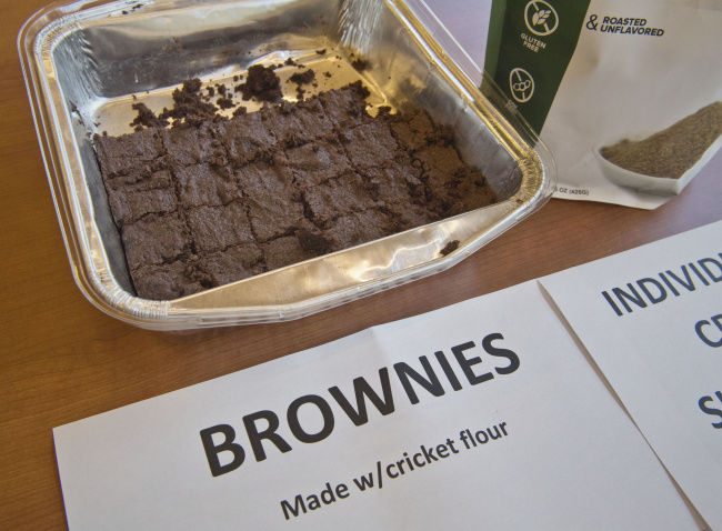 Insects on lunch menu at nature center
